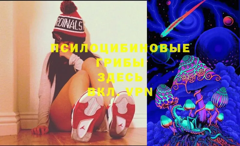 где найти   Родники  Галлюциногенные грибы Magic Shrooms 